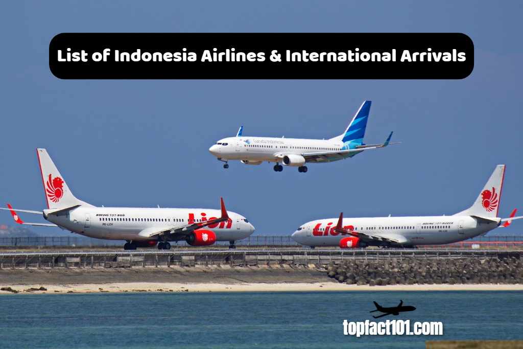 Indonesia Airlines & International Arrivals