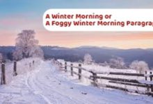 Winter Morning Paragraph