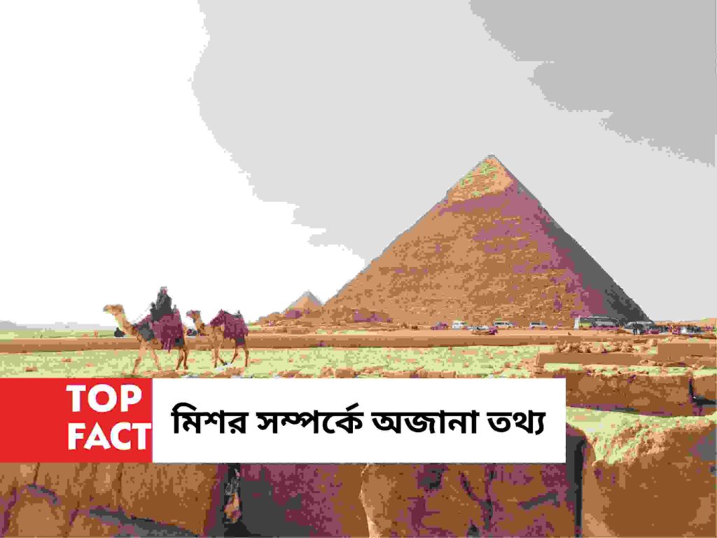 Fact About Egypt